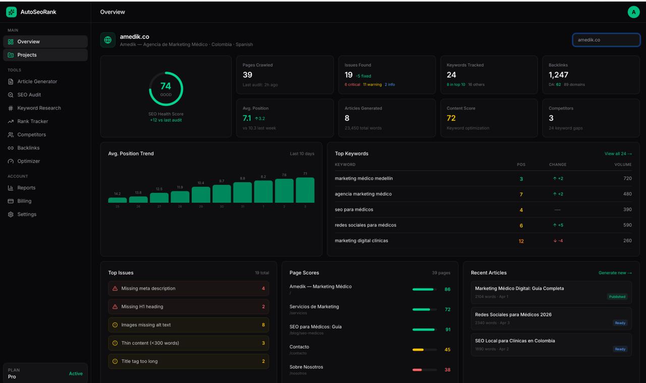 Current AutoSeoRank dashboard view showing overview, projects, article generator, SEO audit, keywords, rank tracker, competitors, backlinks, optimizer, and reports.
